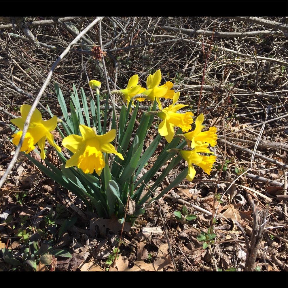 Meet your Posher, Ava